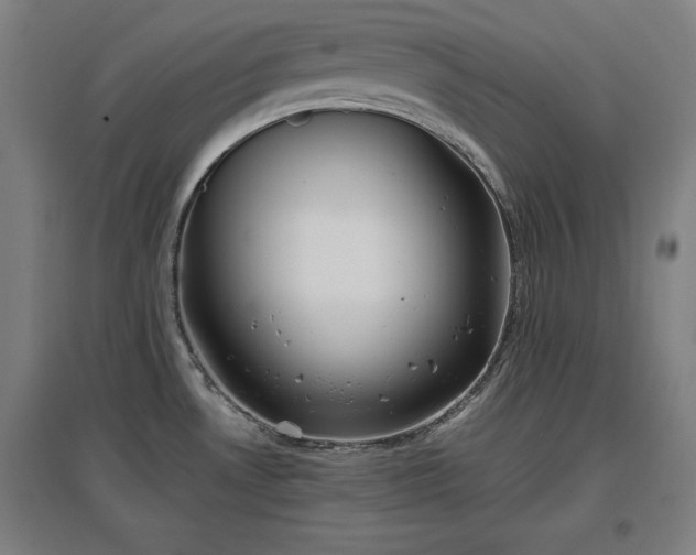 X0000096961530200802151224