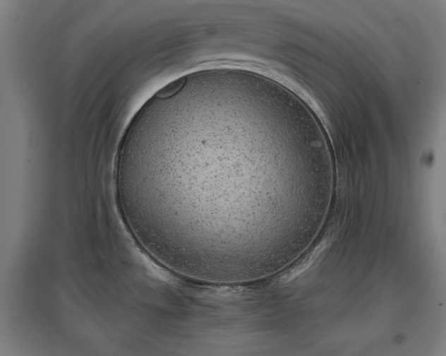 X0000096961533200802151224