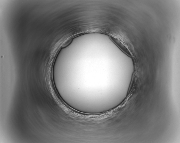 X0000096960001200802221351