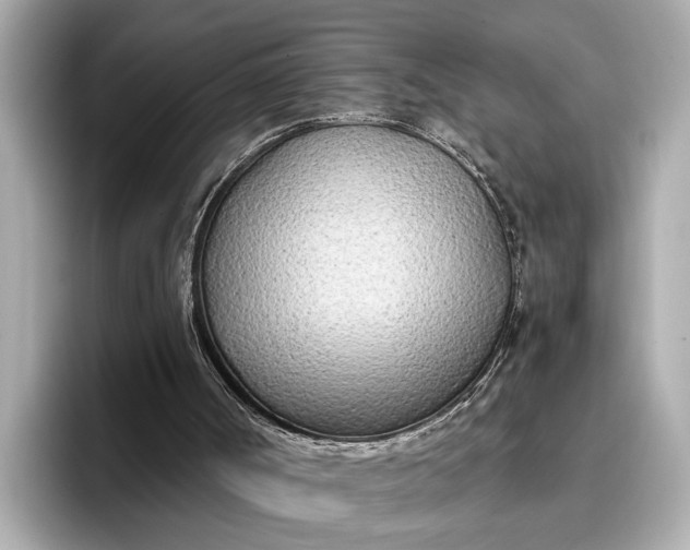 X0000096960002200802221351