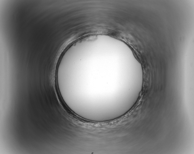 X0000096960003200802221351