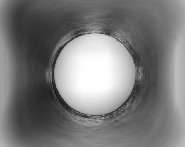 X0000096960004200802221351