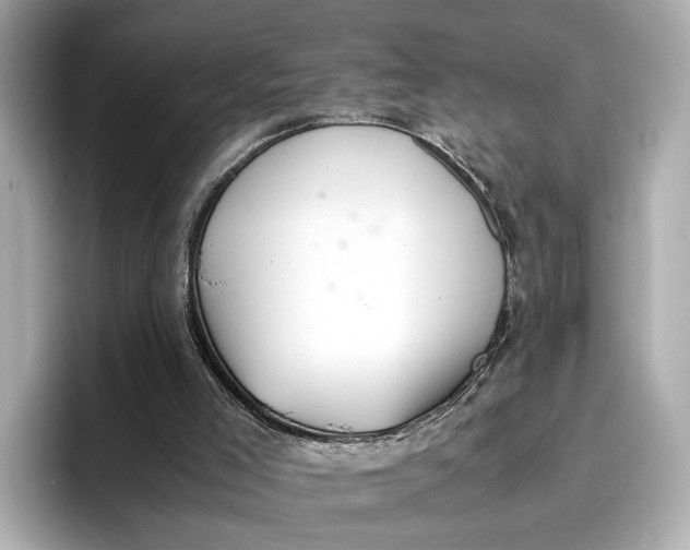 X0000096960005200802221351