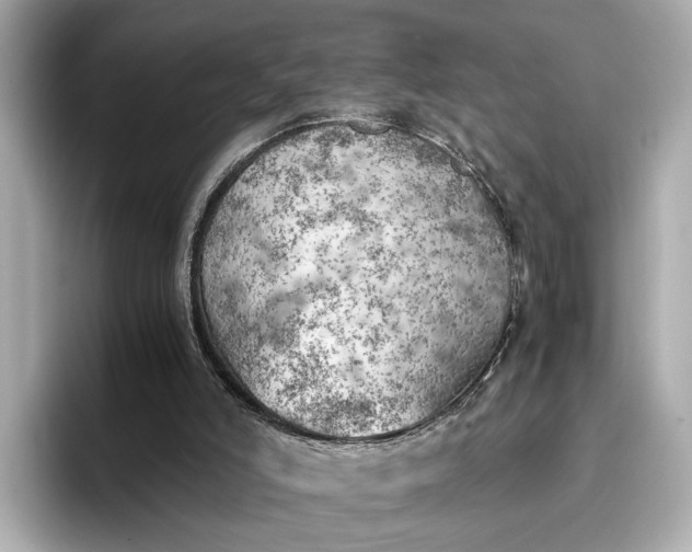 X0000096960006200802221351