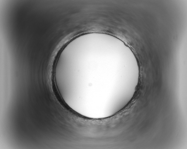 X0000096960007200802221351