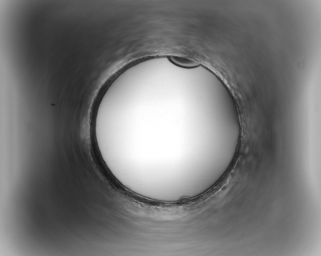 X0000096960008200802221351