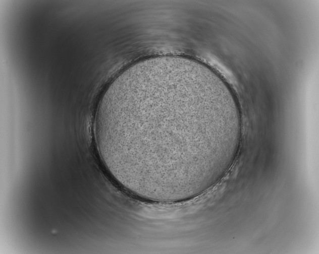 X0000096960009200802221351