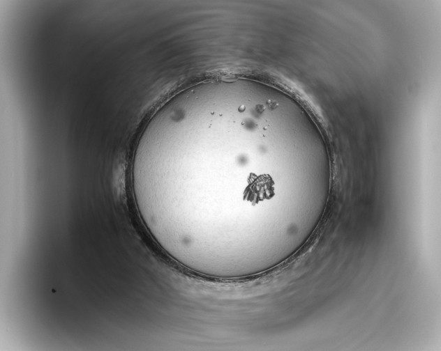 X0000096960010200802221351