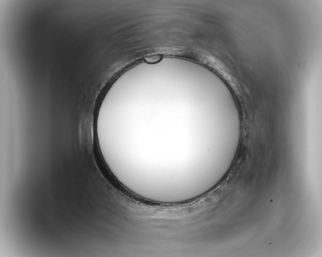 X0000096960011200802221351