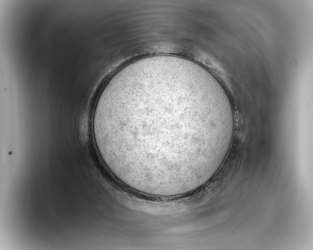 X0000096960012200802221351