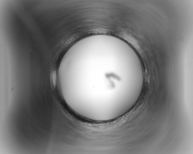 X0000096960013200802221351