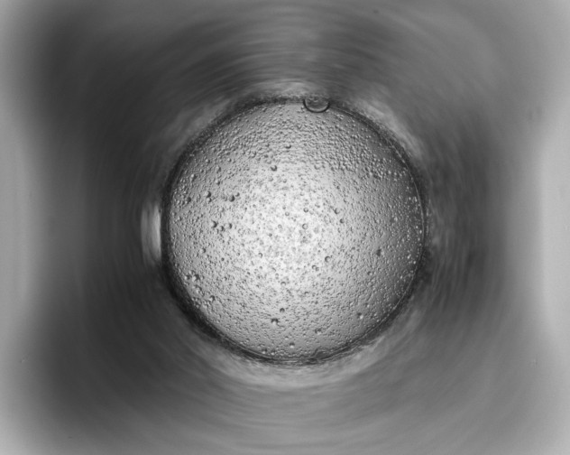 X0000096960014200802221351