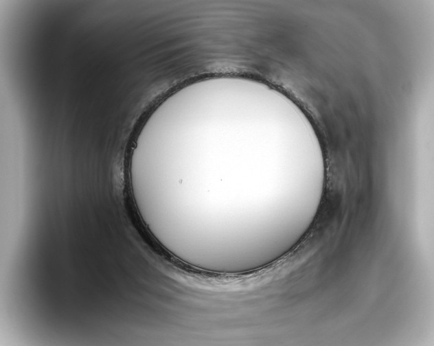 X0000096960015200802221351