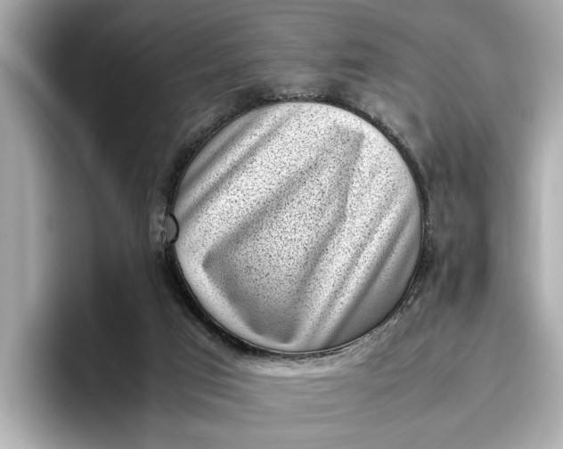 X0000096960017200802221351