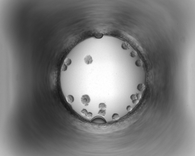 X0000096960018200802221351