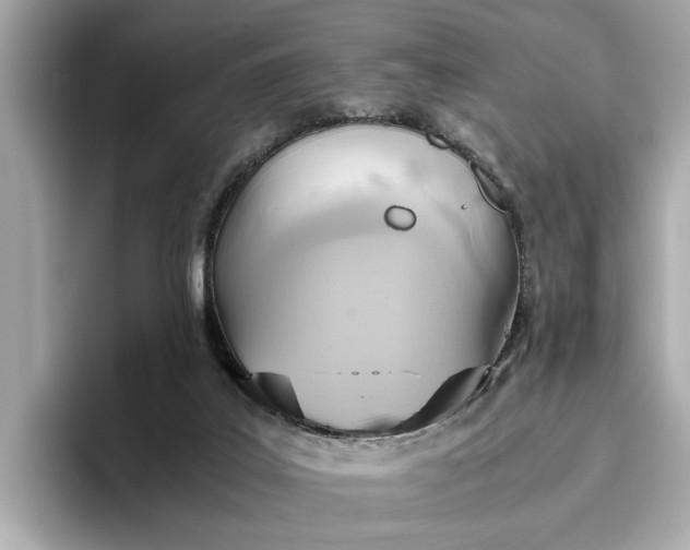 X0000096960019200802221351