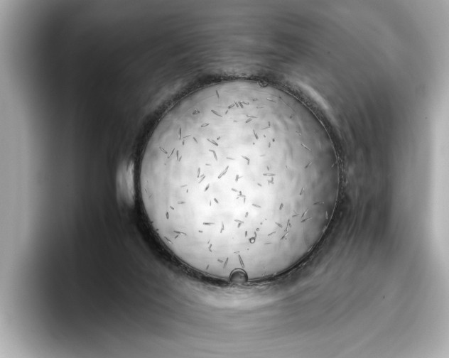 X0000096960020200802221351