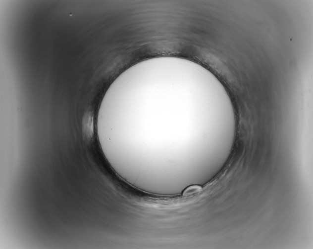 X0000096960021200802221351