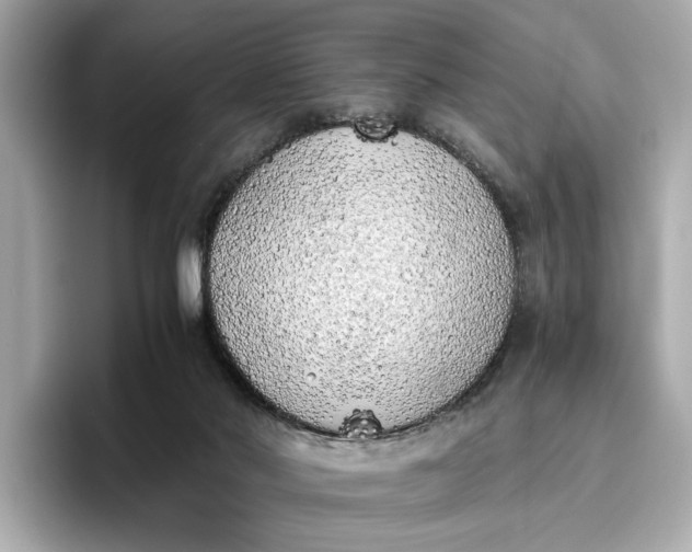 X0000096960022200802221351