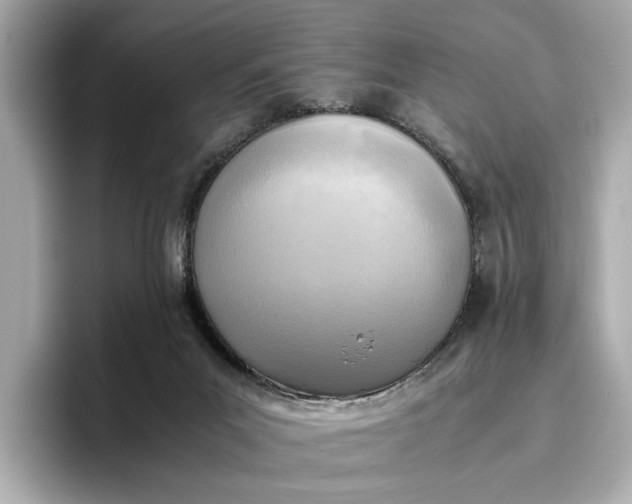 X0000096960023200802221351