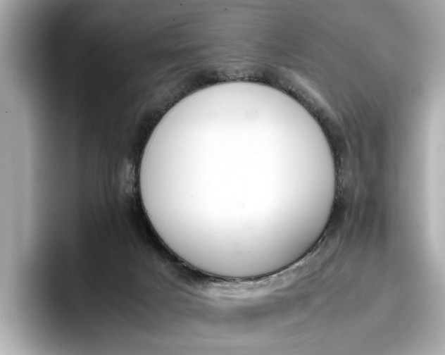 X0000096960025200802221351