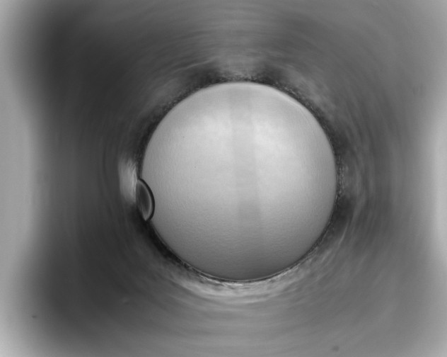 X0000096960027200802221351