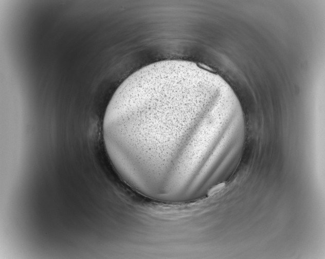 X0000096960029200802221351