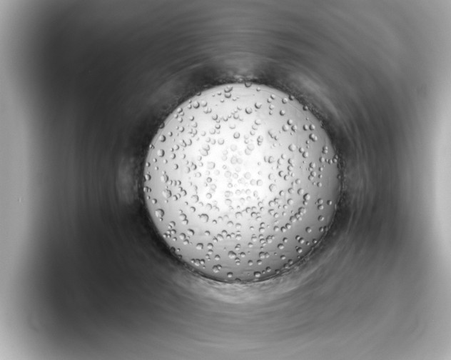 X0000096960030200802221351