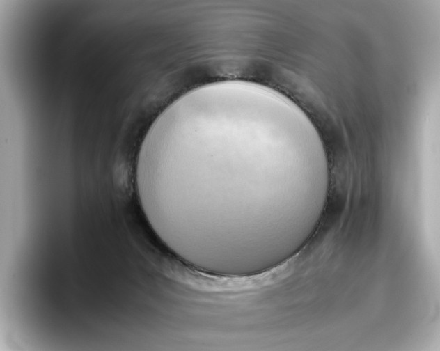 X0000096960031200802221351