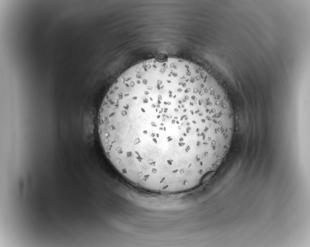 X0000096960032200802221351