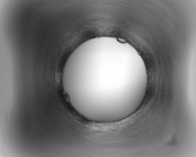 X0000096960033200802221351