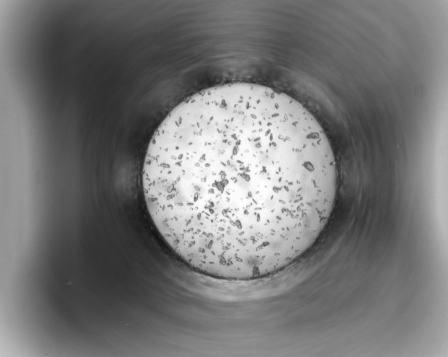 X0000096960034200802221351