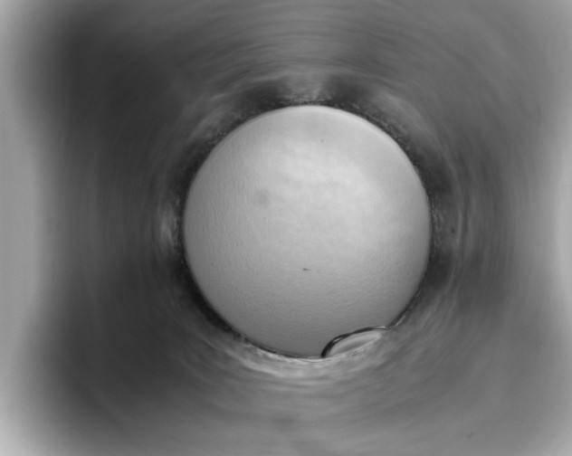 X0000096960035200802221351