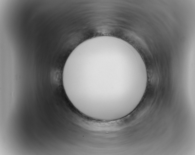 X0000096960036200802221351