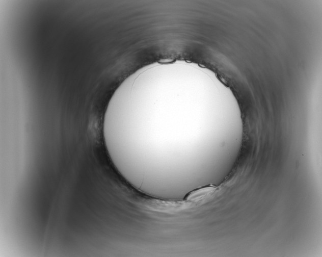 X0000096960037200802221351