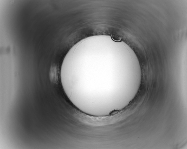 X0000096960038200802221351