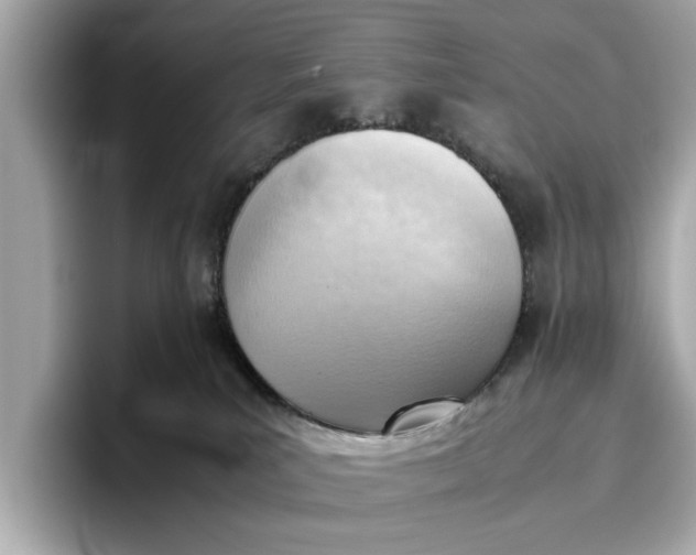 X0000096960039200802221351