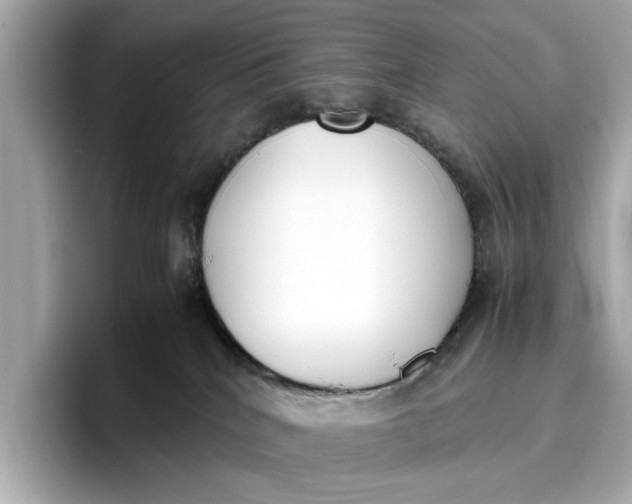 X0000096960040200802221351