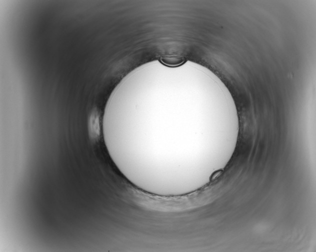 X0000096960042200802221351