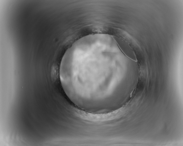 X0000096960043200802221351