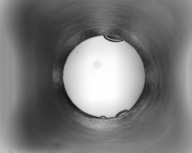 X0000096960044200802221351