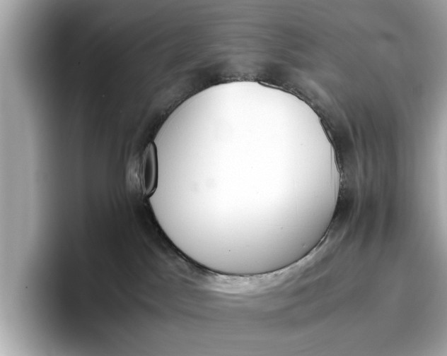 X0000096960045200802221351