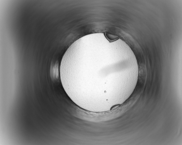 X0000096960046200802221351