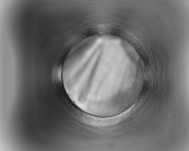 X0000096960047200802221351