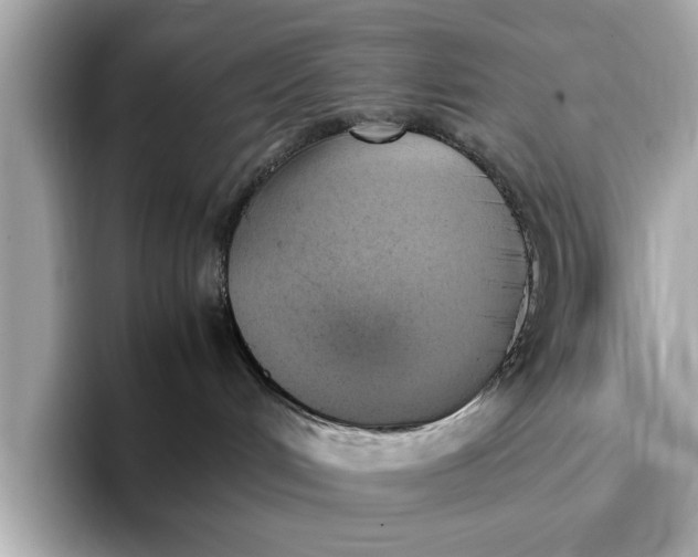 X0000096960048200802221351