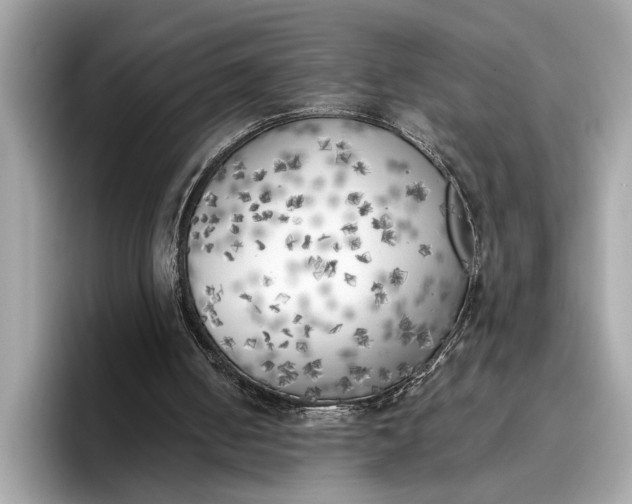 X0000096960050200802221350