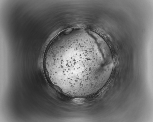 X0000096960051200802221350