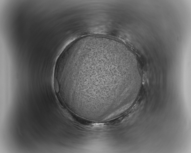 X0000096960052200802221350