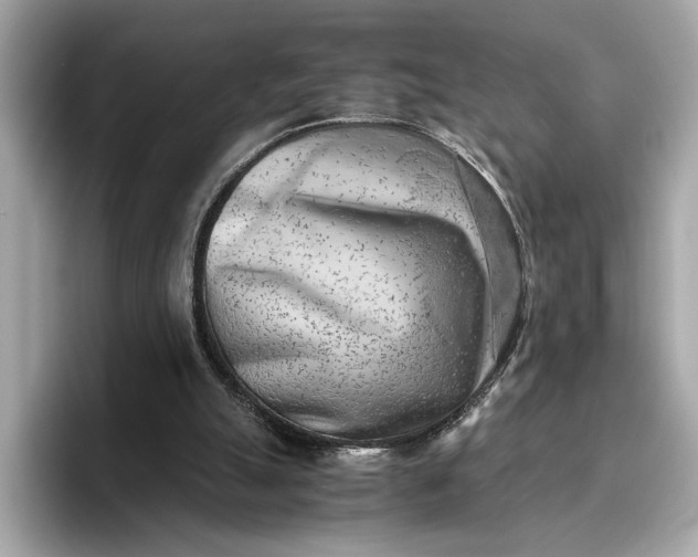 X0000096960055200802221350