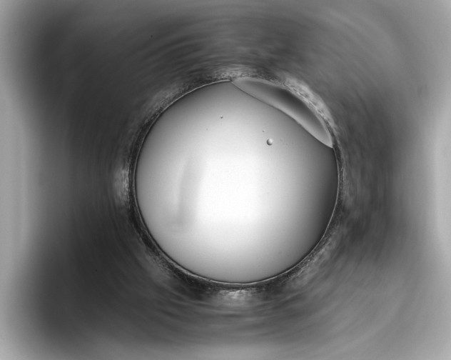 X0000096960057200802221350